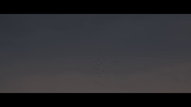 Video Reference: Sky, Black, Atmosphere, Darkness, Atmospheric phenomenon, Brown, Calm, Horizon, Cloud, Night