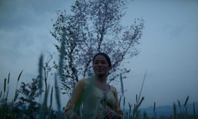 Video Reference: Nature, Atmospheric phenomenon, Sky, Tree, Grass family, Adaptation, Morning, Human, Photography, Plant