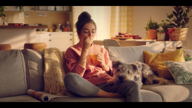 Video Reference: Sitting, Couch, Companion dog, Canidae, Room, Living room, Sporting Group, Comfort, Carnivore, Happy