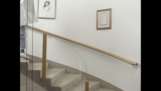 Video Reference: stairs, handrail, baluster, line, wood, glass, floor, angle, daylighting