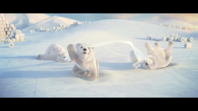 Video Reference: Polar bear, Bear, Natural environment, Arctic, Sky, Ice, Polar bear, Adaptation, Ice cap, Carnivore