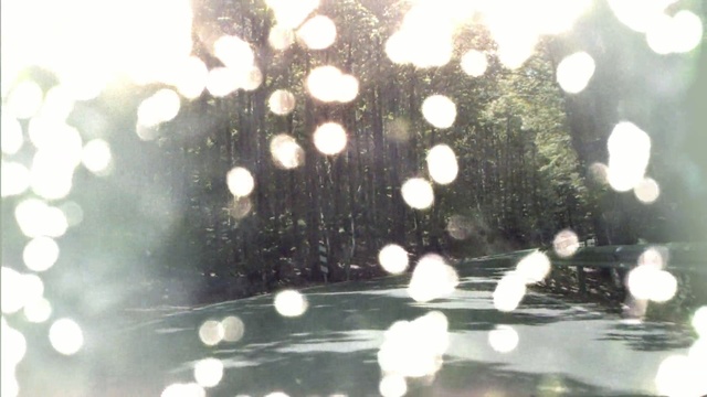 Video Reference: black, water, light, tree, Person