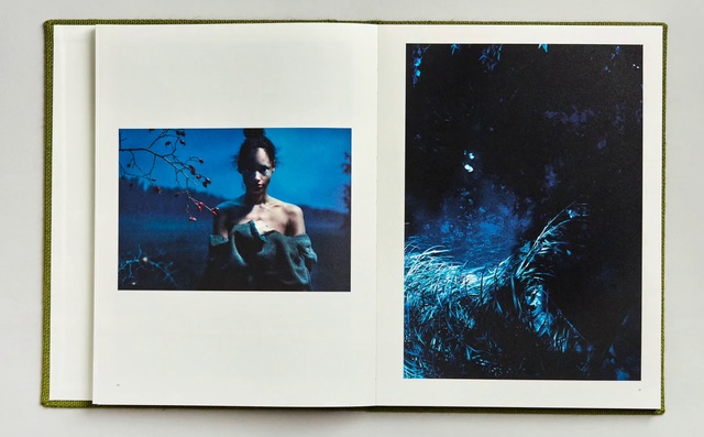 Video Reference: Art, Picture frame, Illustration, Modern art, Visual arts, Painting, Photography, Photographic paper, Fictional character