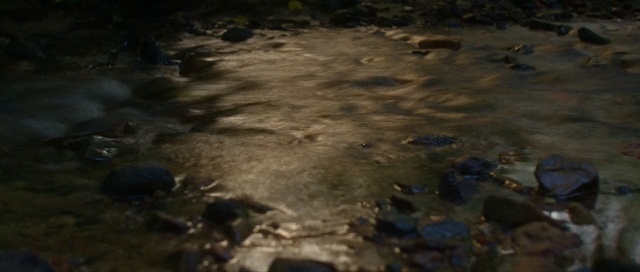 Video Reference: water, body of water, water resources, river, stream, rock, stream bed, watercourse, earth, creek