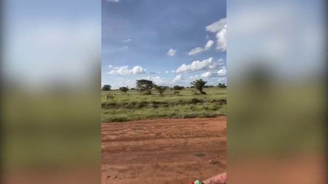 Video Reference: Sky, Nature, Grassland, Steppe, Natural environment, Plain, Ecoregion, Soil, Prairie, Land lot