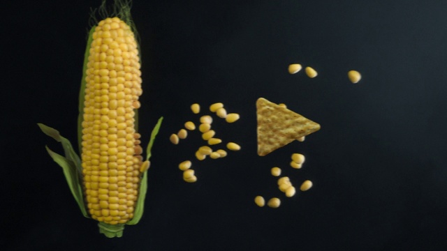 Video Reference: Corn kernels, Corn on the cob, Sweet corn, Corn on the cob, Corn, Vegetarian food, Food grain, Vegetable, Cuisine, Plant