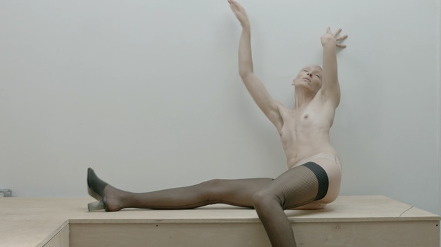 Video Reference: joint, leg, shoulder, arm, human leg, hip, thigh, knee