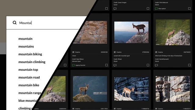 Video Reference: Screenshot, Digital compositing, Sky, Photography, Wildlife, Technology, Adaptation, Editing, Multimedia, Landscape