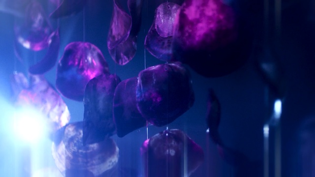 Video Reference: purple, violet, light, magenta, computer wallpaper, darkness