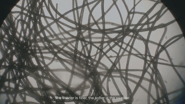 Video Reference: Branch, Tree, Line, Architecture, Plant, Twig, Black-and-white, Tower, Metal