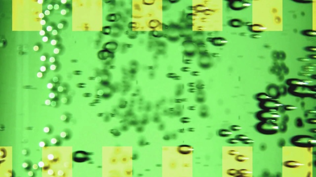 Video Reference: Green, Yellow, Line, Pattern, Organism