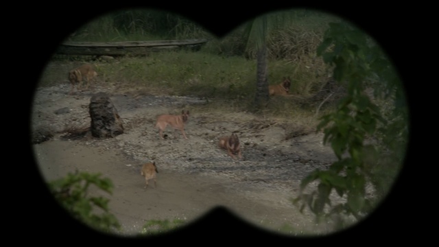 Video Reference: Circle, Organism, Photography, Grass, World, Earth, Landscape, Terrain, Sphere, Fisheye lens, Person