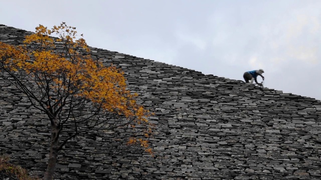 Video Reference: Wall, Roof, Tree, Leaf, Sky, Stone wall, Autumn, Woody plant, Branch, Plant
