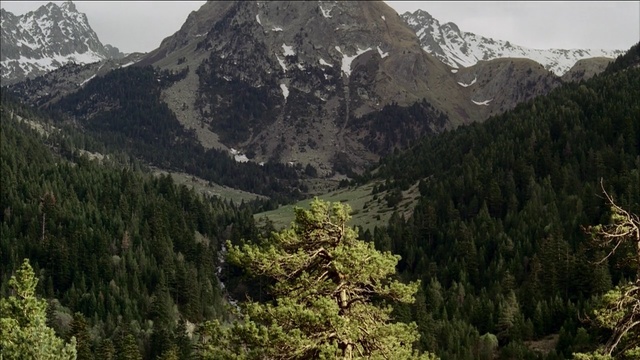 Video Reference: wilderness, nature, mountainous landforms, mountain, ecosystem, nature reserve, vegetation, mount scenery, tropical and subtropical coniferous forests, mountain range