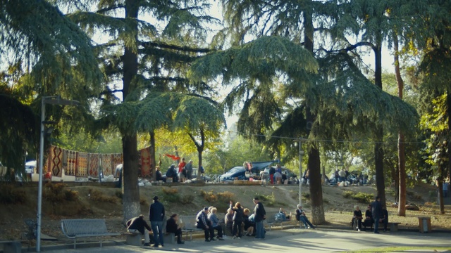 Video Reference: Painting, Tree, Public space, Watercolor paint, Pedestrian, Street, Woody plant, City, Leisure, Adaptation