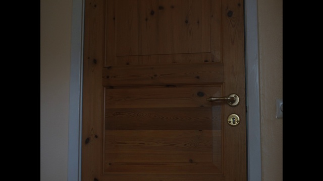 Video Reference: Door, Wood, Property, Hardwood, Wood stain, Room, Home door, Architecture, Door handle, Window