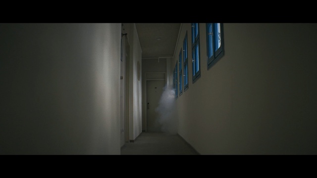 Video Reference: blue, black, darkness, light, atmosphere, snapshot, wood, daylighting, shadow, midnight