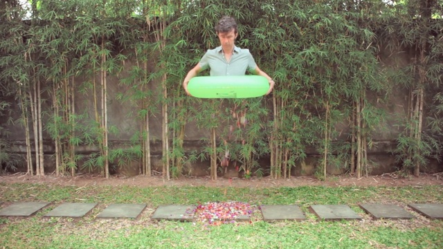 Video Reference: Green, Grass, Leaf, Tree, Recreation, Forest, Outdoor play equipment, Play, Plant, Woodland