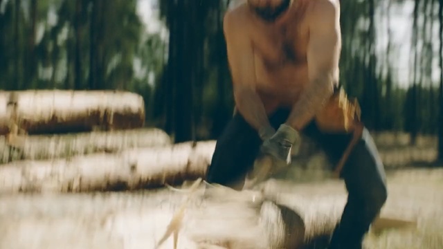 Video Reference: Tree, Adaptation, Photography, Plant, Barechested