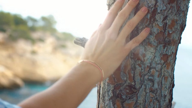 Video Reference: Skin, Hand, Finger, Arm, Nail, Tree, Joint, Sunlight, Fashion accessory, Rock