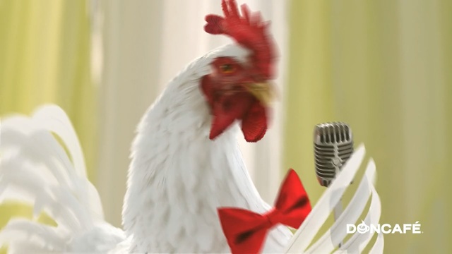 Video Reference: Chicken, Rooster, Bird, Comb, Galliformes, Beak, Poultry, Livestock, Fowl, Feather