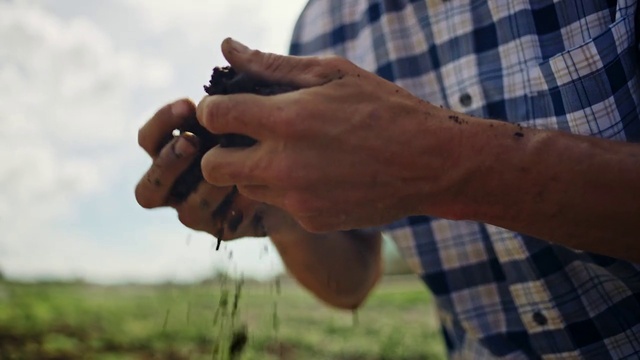 Video Reference: Hand, Plant, Tartan, Sky, Sleeve, Gesture, Finger, Plaid, Thumb, Grass