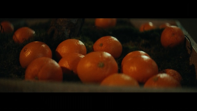 Video Reference: Clementine, Still life photography, Fruit, Orange, Food, Orange, Local food, Vegetarian food, Tangerine, Citrus, Person