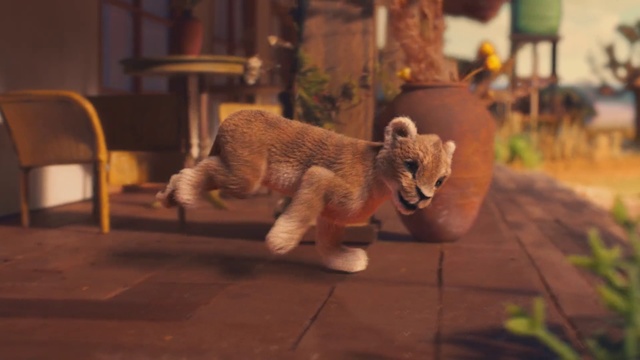 Video Reference: Felidae, Canidae, Wildlife, Carnivore, Snout, Organism, Lion, Dog breed, Sporting Group, Tail