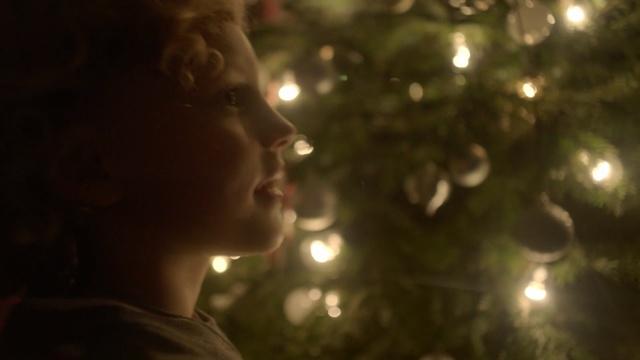 Video Reference: tree, night, light, darkness, lighting, sunlight, evening, girl, plant, christmas