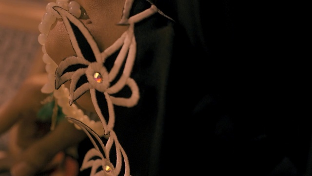 Video Reference: human body, arm, darkness, hand, flower, organism, art, macro photography