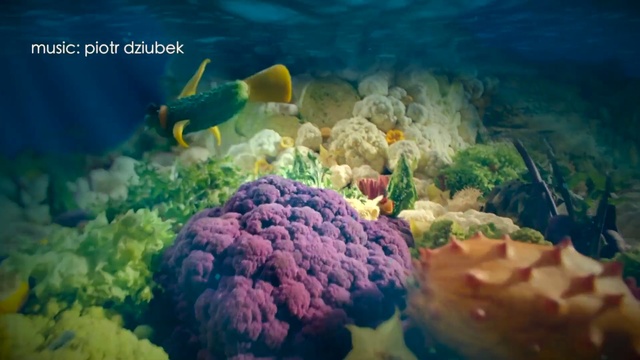 Video Reference: Coral reef, Reef, Underwater, Natural environment, Marine biology, Organism, Stony coral, Fish, Coral, Coastal and oceanic landforms, Person