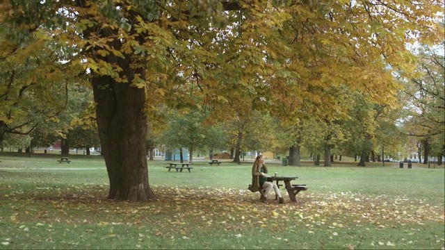 Video Reference: tree, leaf, autumn, lawn, park, grass, grove, plant, pasture, recreation, Person