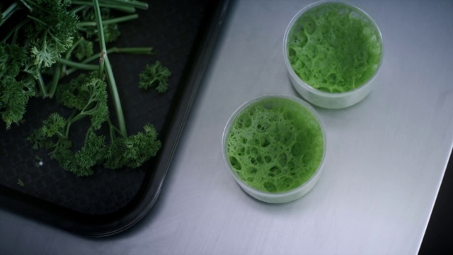 Video Reference: Green, Grass family, Plant, Grass, Food, Vegetarian food, Herb, Vegetable juice, Superfood, Cuisine