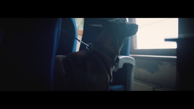 Video Reference: Light, Sky, Vehicle door, Font, Hand, Darkness, Photography, Automotive window part, Auto part, Windshield