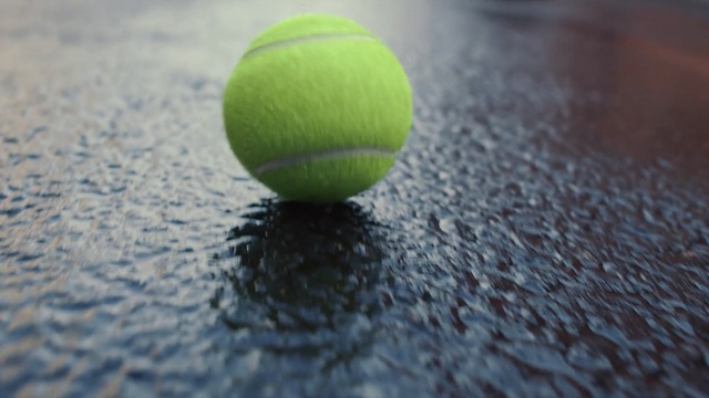 Video Reference: ball, water, close up, football, tennis ball, macro photography, grass, computer wallpaper