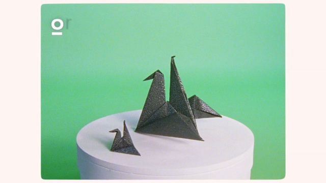 Video Reference: bird, animation, cg