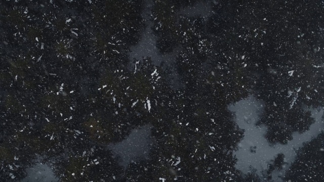 Video Reference: Black, Sky, Water, Atmosphere, Space, Astronomical object, Darkness, Night, Black-and-white, Granite