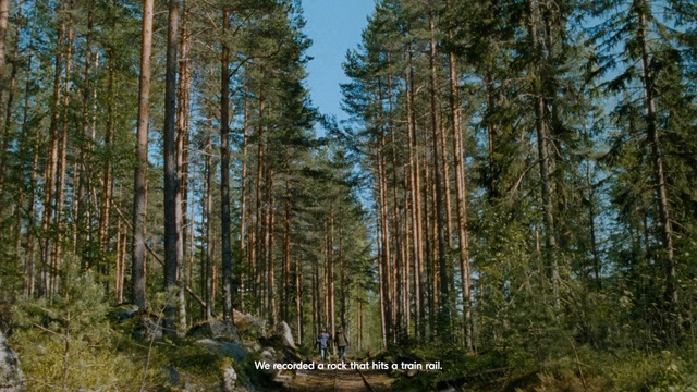 Video Reference: spruce fir forest, ecosystem, temperate broadleaf and mixed forest, tropical and subtropical coniferous forests, nature reserve, forest, old growth forest, tree, temperate coniferous forest, wilderness