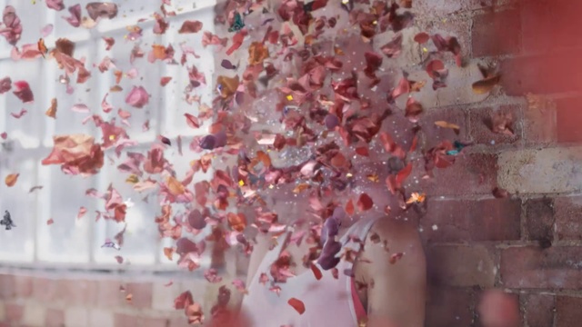 Video Reference: Wall, Pink, Blossom, Flesh, Art