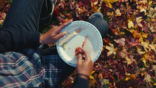 Video Reference: Leaf, Tree, Hat, Autumn