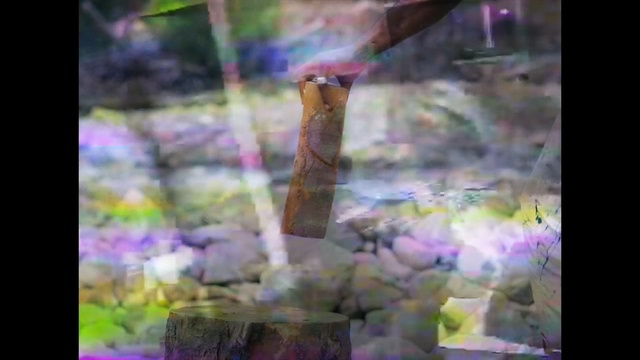 Video Reference: Flower, Petal, Plant, Painting, Plant stem, Art