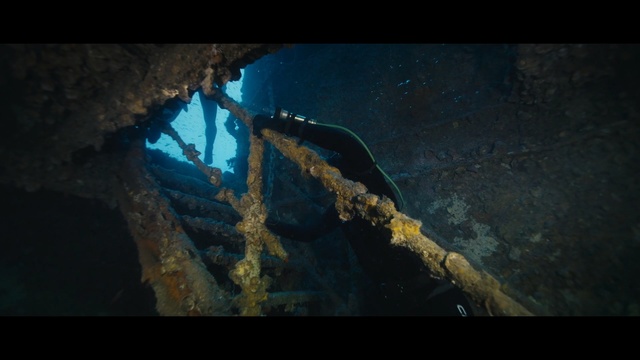 Video Reference: underwater, water, shipwreck, screenshot, organism, formation, darkness, marine biology, reef, underwater diving