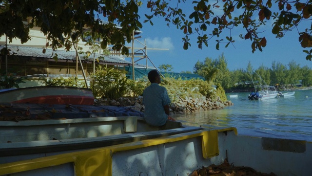 Video Reference: water, waterway, body of water, water transportation, tree, plant, boat, leisure, vehicle, resort, Person