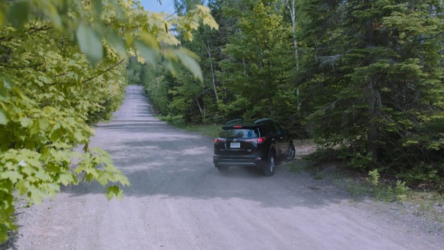Video Reference: road, car, ecosystem, motor vehicle, mode of transport, tree, vehicle, path, trail, plant