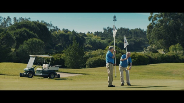 Video Reference: Golf equipment, Golf course, Sport venue, Golf club, Golf, Golfer, Golf cart, Professional golfer, Grassland, Recreation