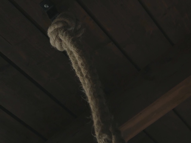 Video Reference: light, wood, lighting, darkness, line, sky, angle, ceiling, space