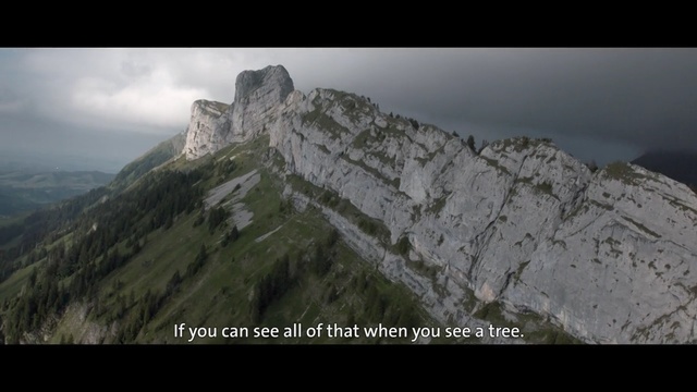 Video Reference: Mountainous landforms, Mountain, Mountain range, Ridge, Summit, Hill station, Alps, Highland, Massif, Rock