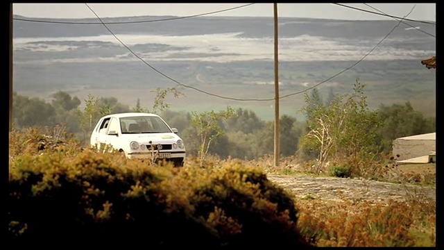 Video Reference: Vehicle, Car, Off-roading, Atmospheric phenomenon, Mode of transport, Ecoregion, Tree, Plant community, Landscape, Rallying