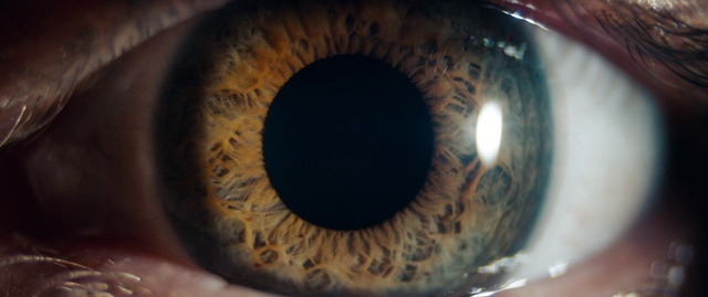 Video Reference: Iris, Eye, Close-up, Organ, Brown, Eyelash, Human body, Macro photography, Ophthalmology, Photography