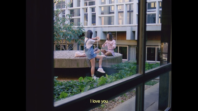 Video Reference: Photograph, Snapshot, Window, Leisure, Photography, Fun, Tree, Real estate, Room, Home, Person